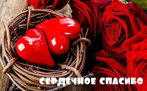 Спасибо!