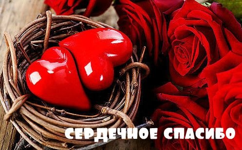 Спасибо, Светлана!