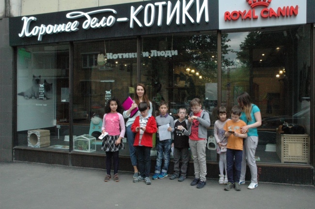 В гостях у котят