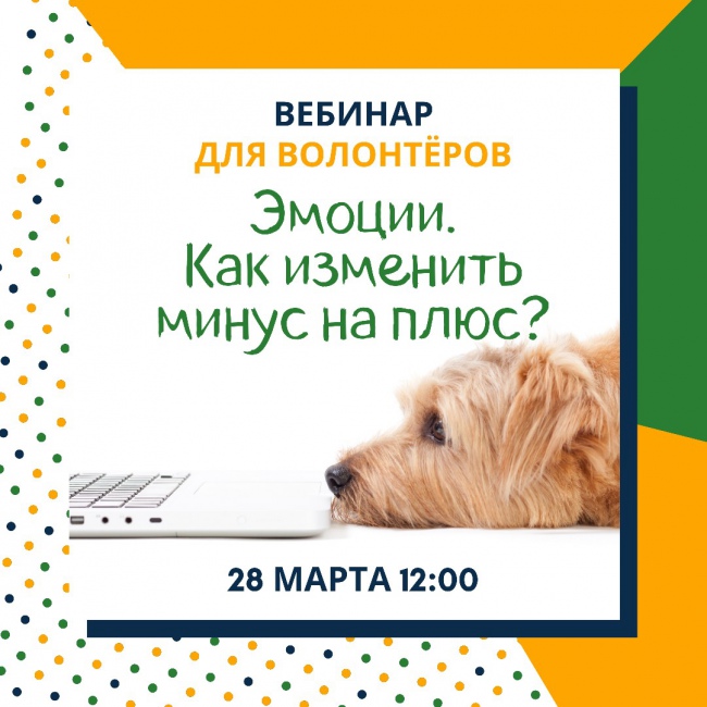 Вебинар «Эмоции. Как изменить минус на плюс?»