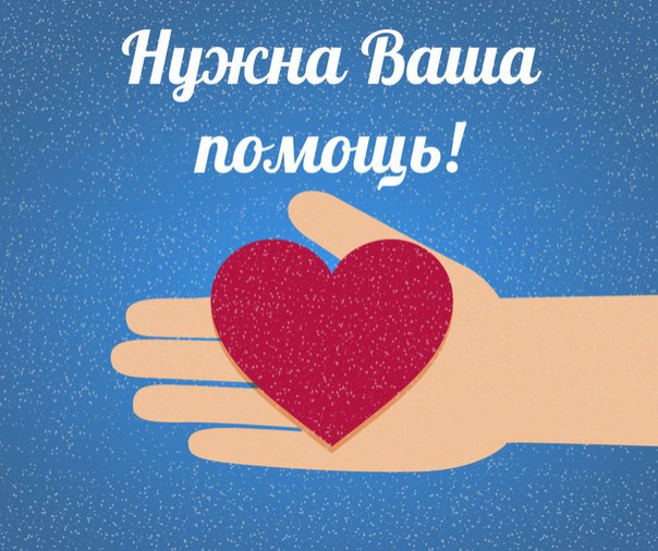 Требуется помощь!